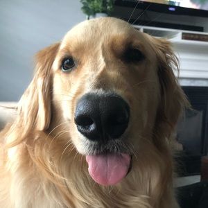 Meet your Posher, Elisabeth